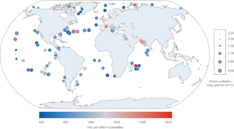 This graph shows that areas with more plastic pollution do not necessarily have higher levels of plastic-degrading enzymes.