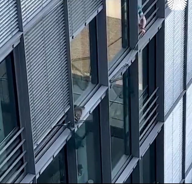 A raccoon is seen scaling an apartment building as a disgruntled resident tries to chase him away.