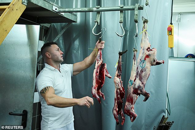 Hunter Michael Reiss hangs skinned raccoons in the meat processing room at his wild butcher shop "Wildererhuette"where he processes raccoon meat into sausages and meatballs, in Kade, Saxony-Anhalt, Germany April 11, 2024