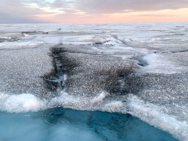 Snow darkened by algae and pink sunset behind and blue sea in front