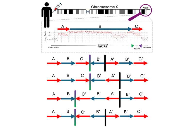 Research reveals hidden DNA mechanisms of rare genetic diseases